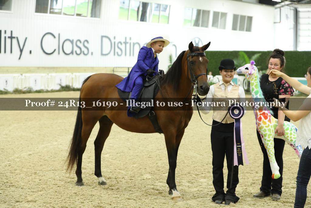 Proof 24R13_16190