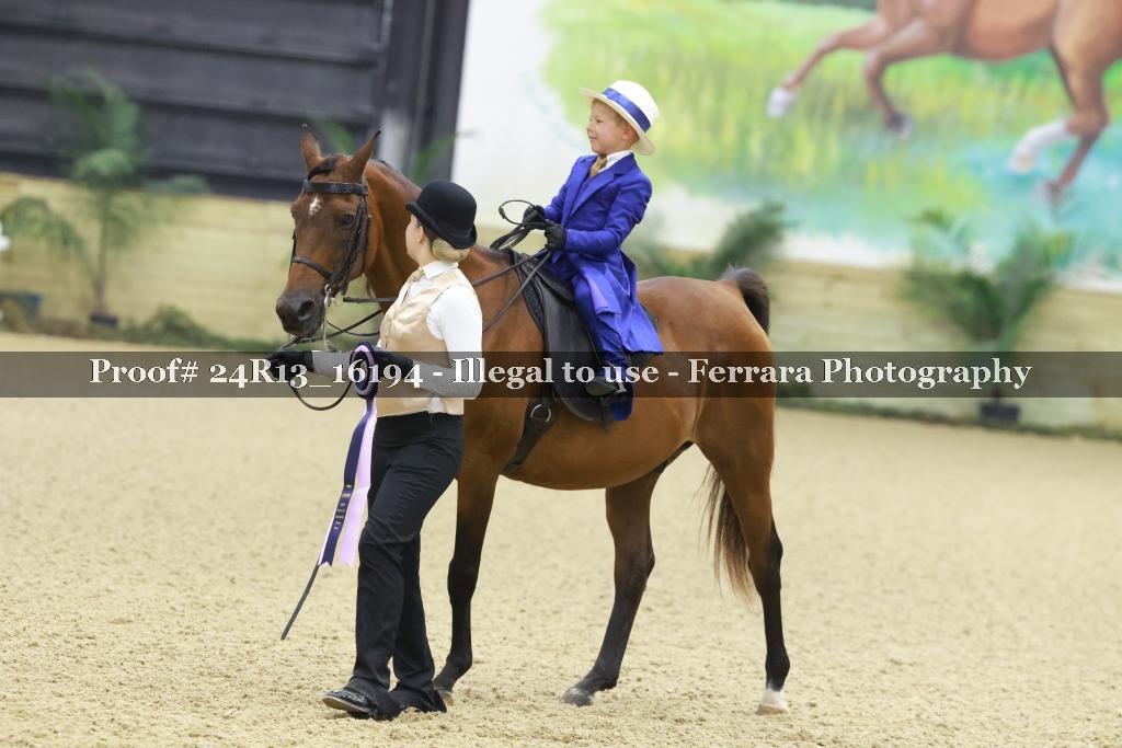 Proof 24R13_16194
