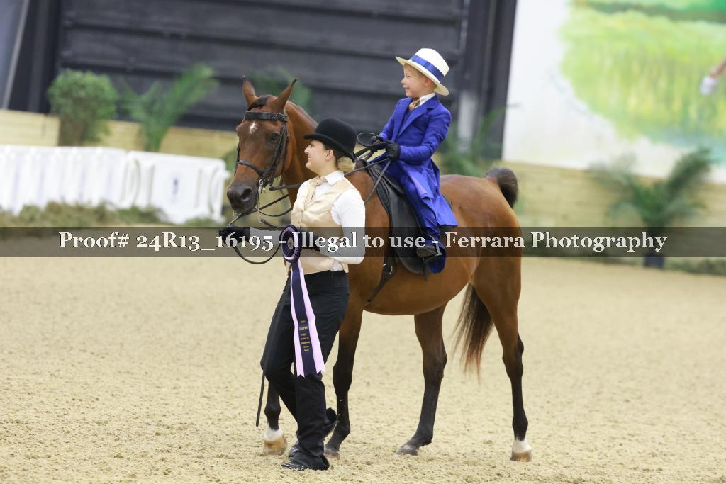 Proof 24R13_16195