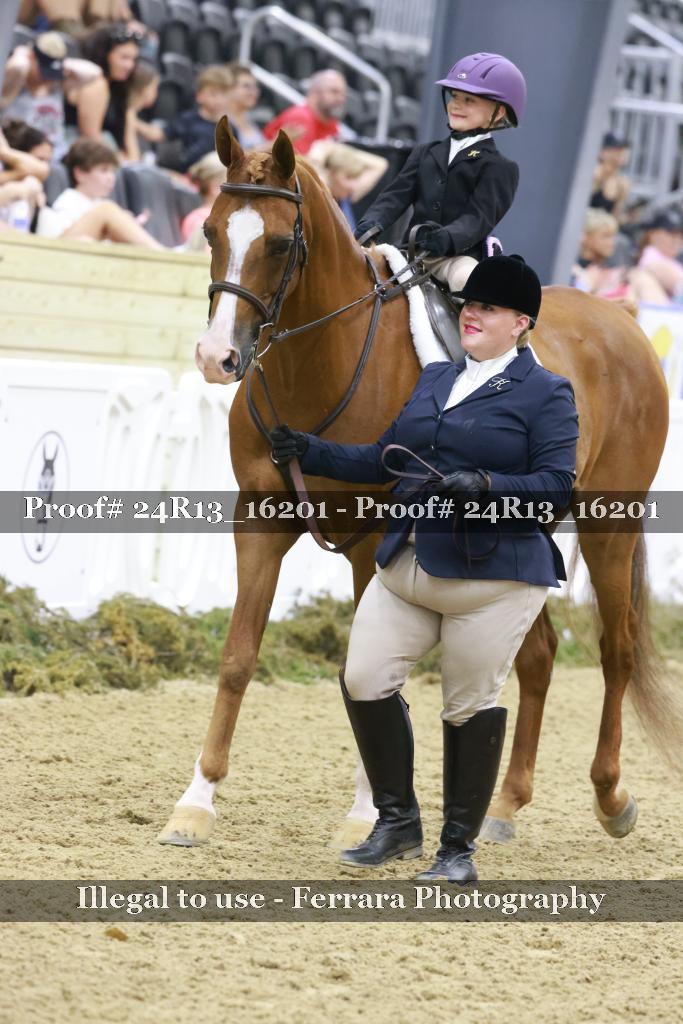 Proof 24R13_16201