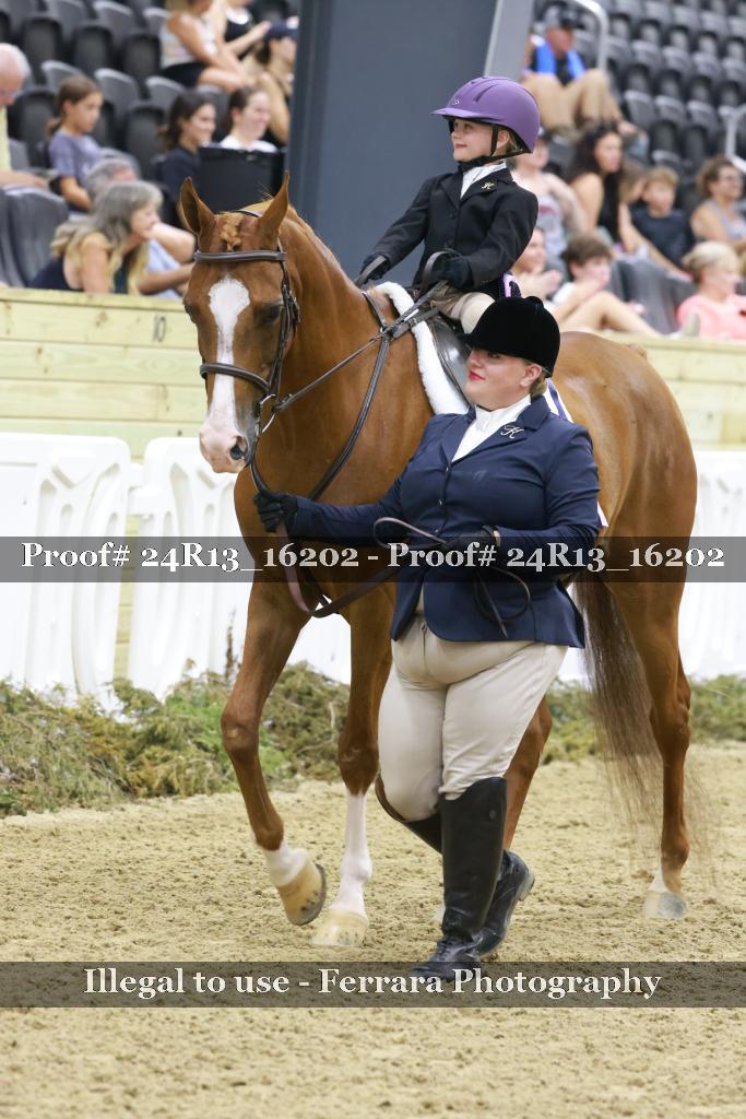 Proof 24R13_16202