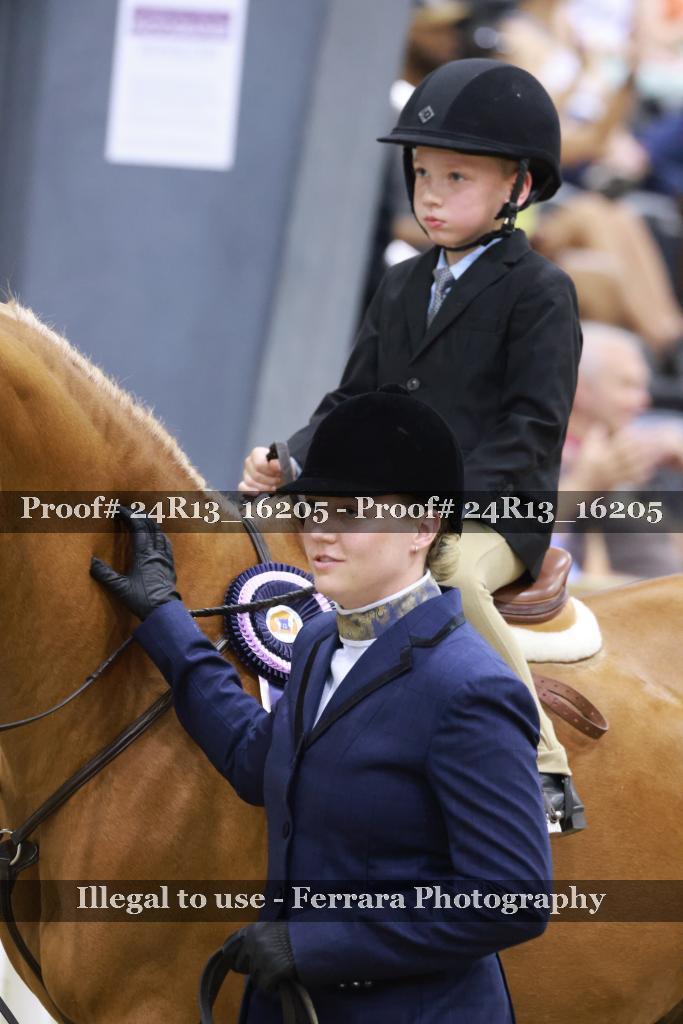 Proof 24R13_16205
