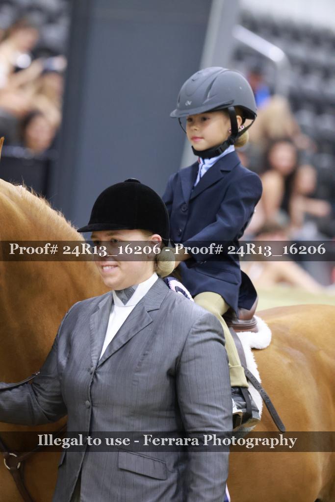 Proof 24R13_16206
