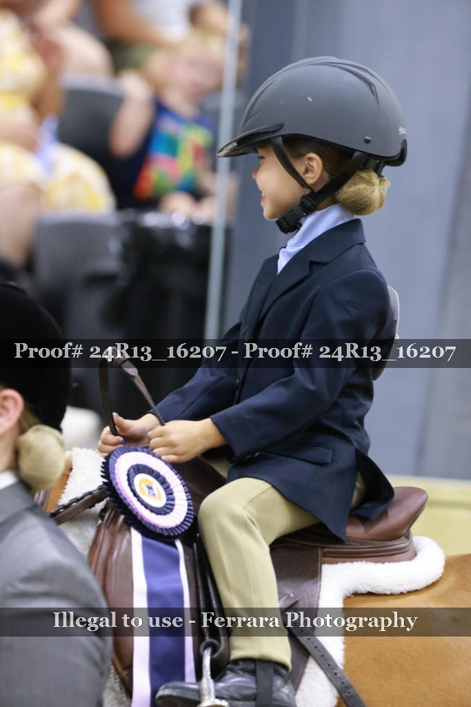 Proof 24R13_16207