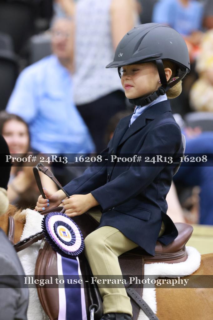 Proof 24R13_16208