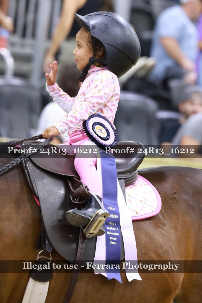 Proof 24R13_16212