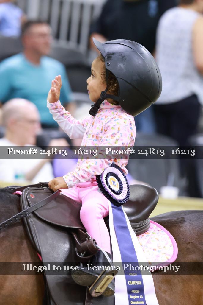 Proof 24R13_16213