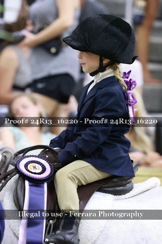Proof 24R13_16220