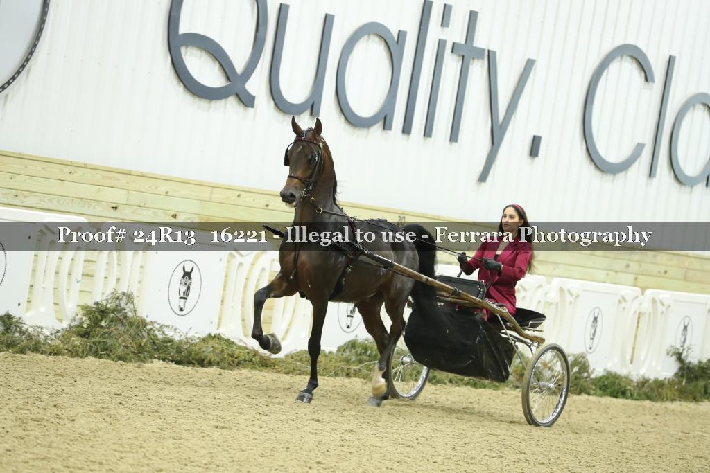 Proof 24R13_16221