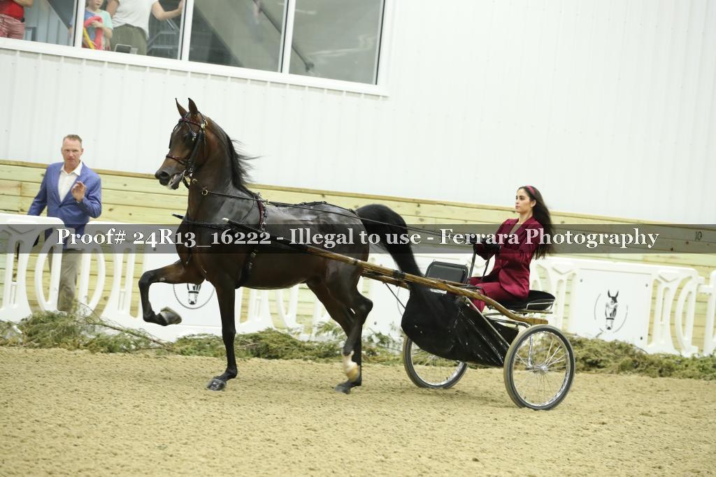 Proof 24R13_16222