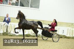 24R13_16222 proof