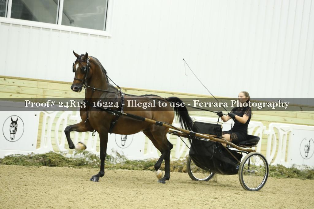 Proof 24R13_16224