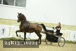 24R13_16224 proof