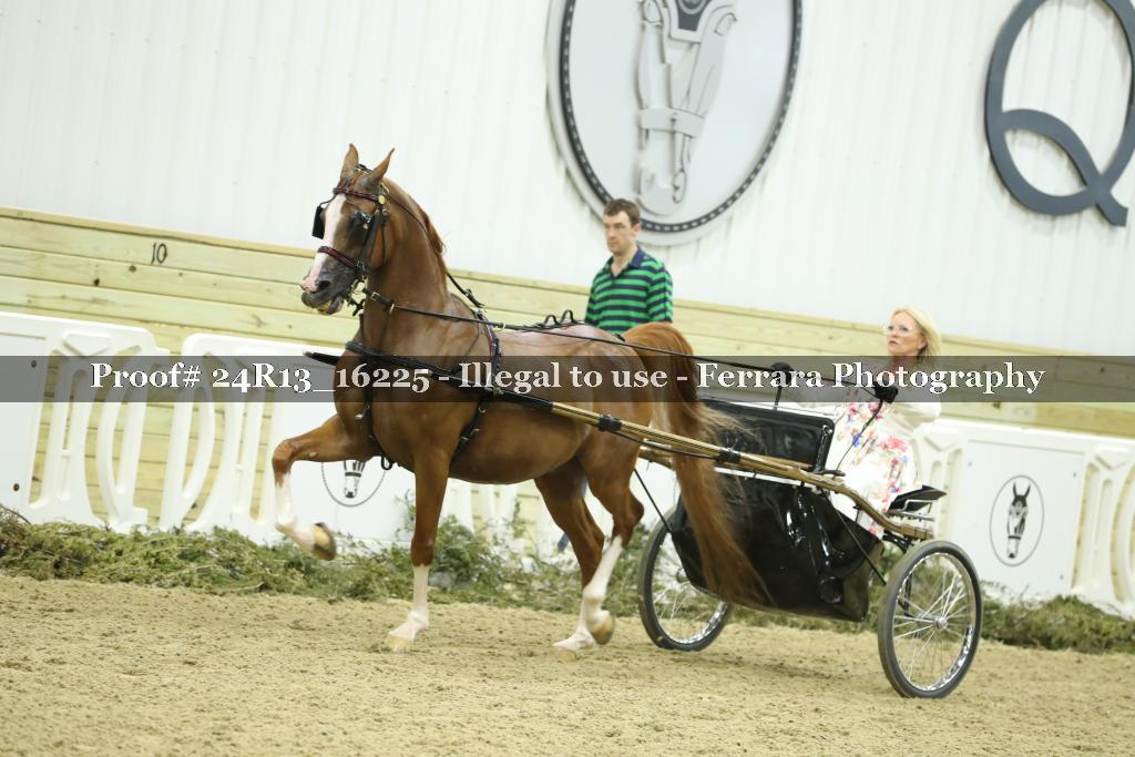 Proof 24R13_16225