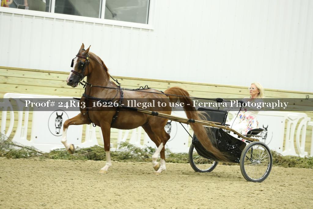Proof 24R13_16226