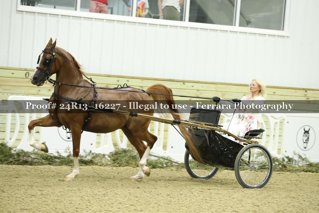Proof 24R13_16227