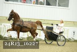 24R13_16227 proof