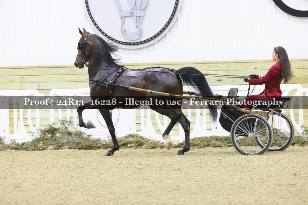 Proof 24R13_16228