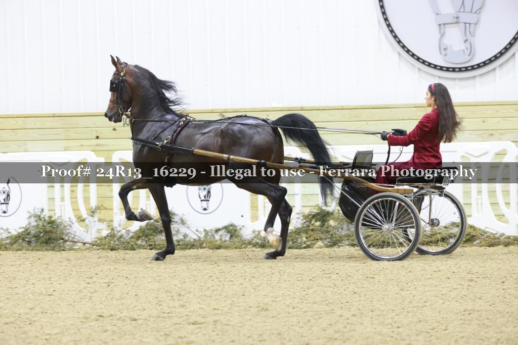 Proof 24R13_16229