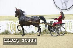 24R13_16229 proof