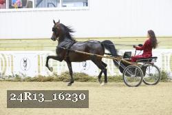 24R13_16230 proof