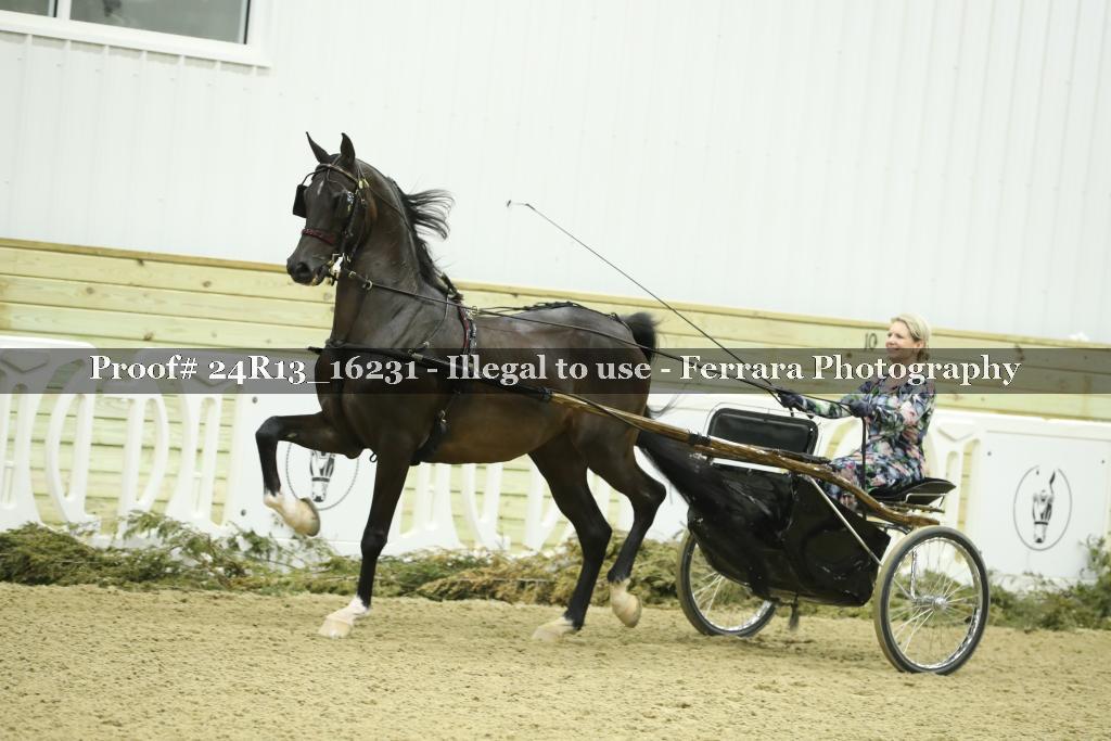 Proof 24R13_16231