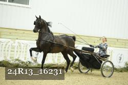 24R13_16231 proof