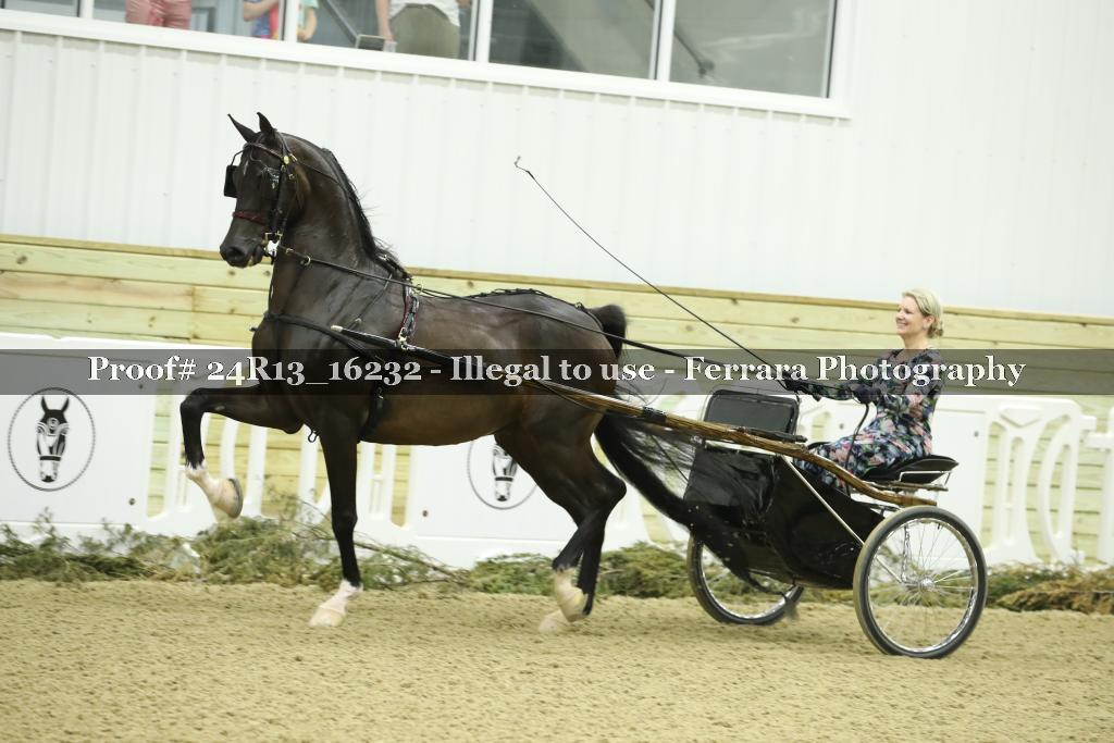 Proof 24R13_16232