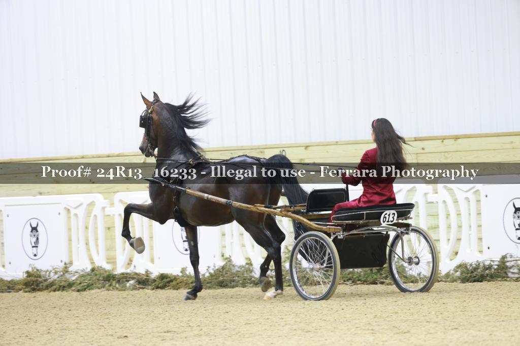 Proof 24R13_16233