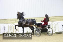 24R13_16233 proof
