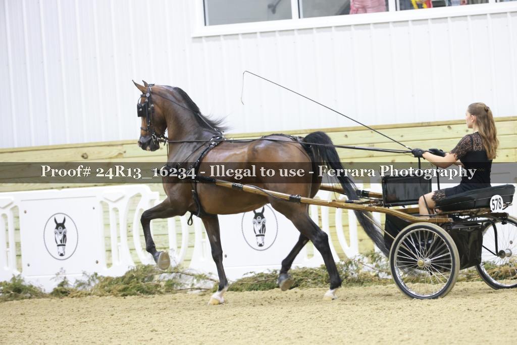 Proof 24R13_16234