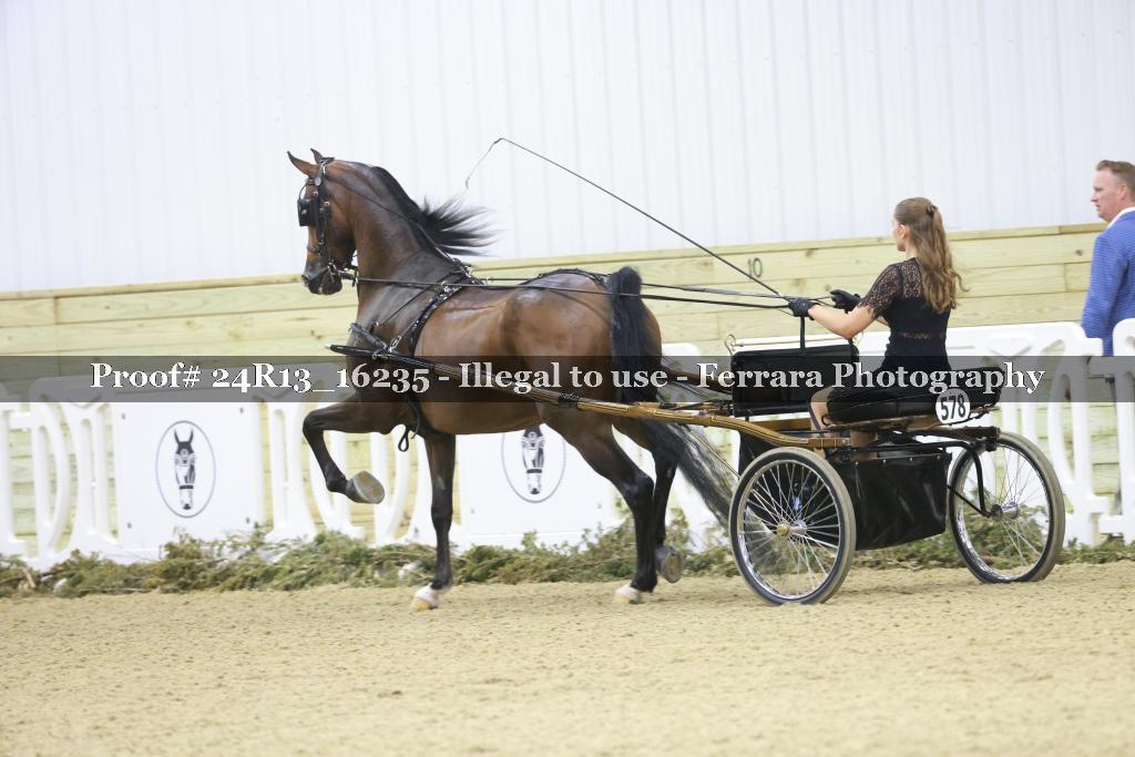 Proof 24R13_16235