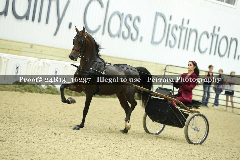 Proof 24R13_16237