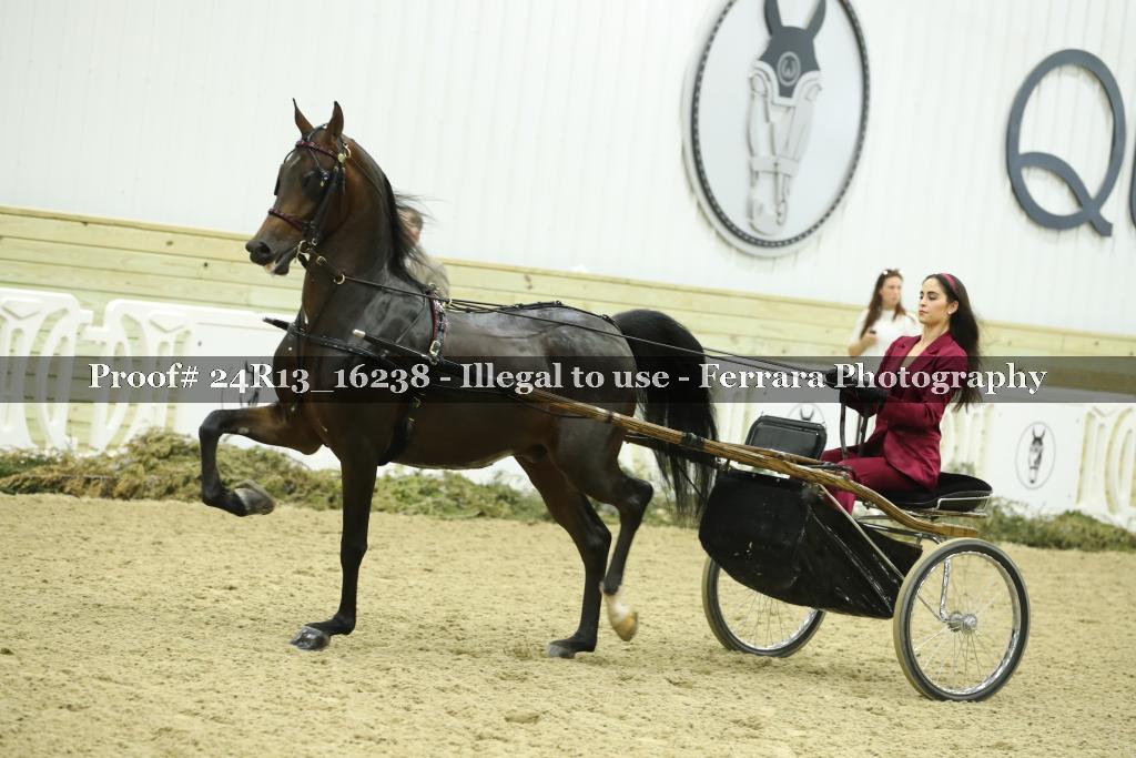 Proof 24R13_16238