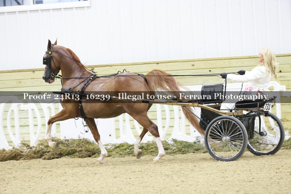 Proof 24R13_16239