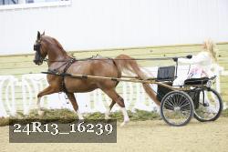 24R13_16239 proof