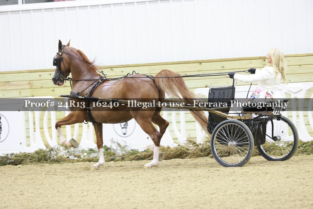 Proof 24R13_16240