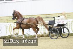 24R13_16240 proof