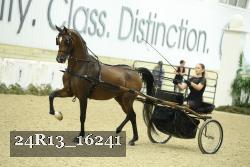 24R13_16241 proof