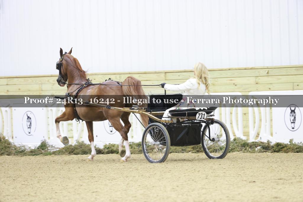 Proof 24R13_16242