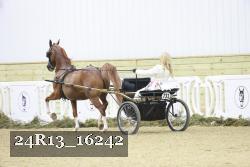 24R13_16242 proof