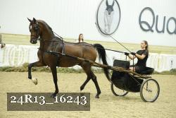 24R13_16243 proof