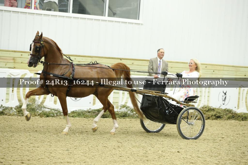 Proof 24R13_16244