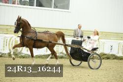 24R13_16244 proof