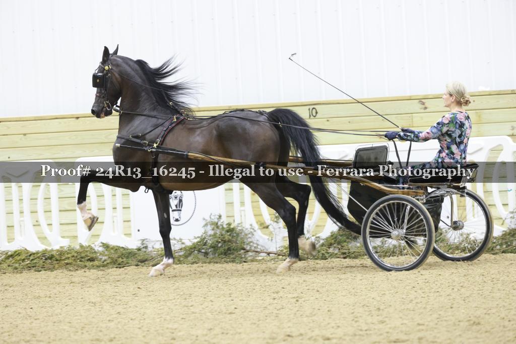 Proof 24R13_16245