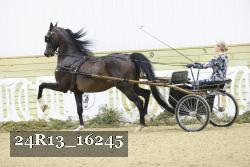 24R13_16245 proof
