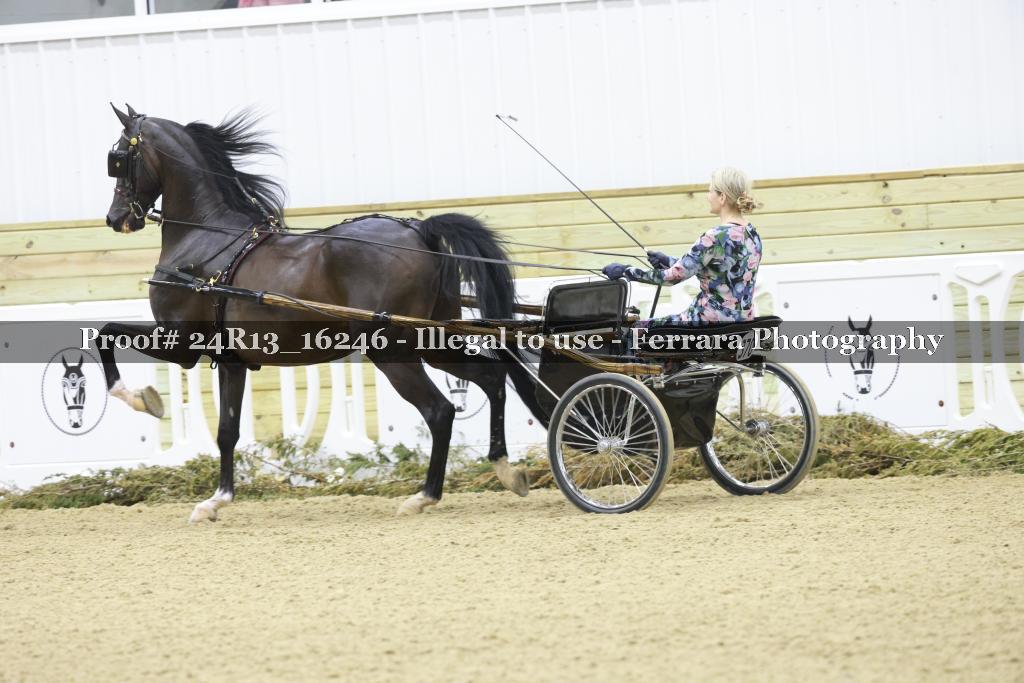 Proof 24R13_16246