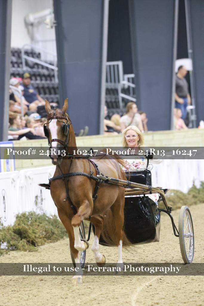 Proof 24R13_16247
