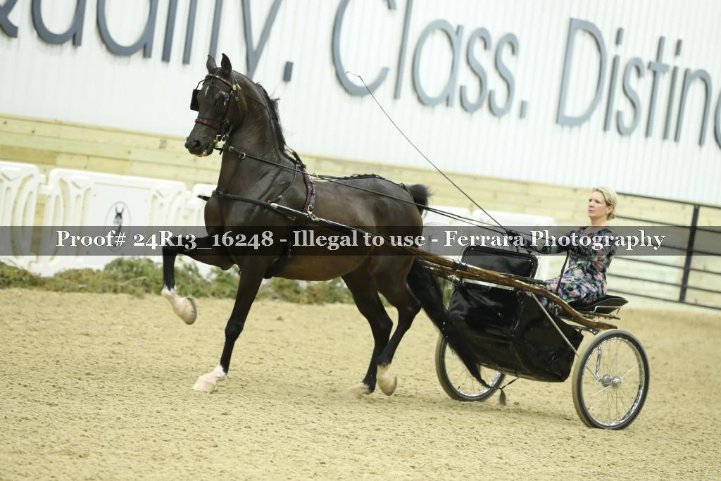 Proof 24R13_16248