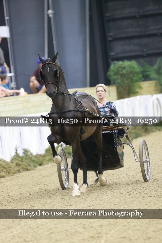 Proof 24R13_16250
